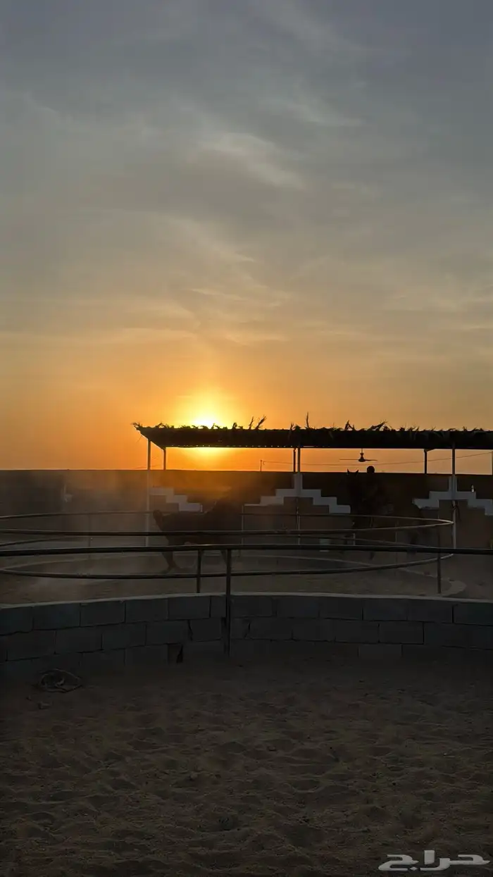 مربط سما 4