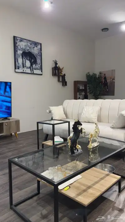 ايواء وعسف 1