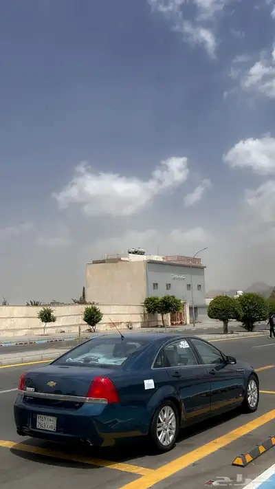 كابرس 2012 بودي بلد 19