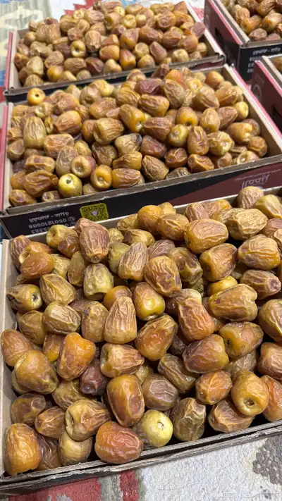 سكري مفتل فاخر حبه كبير معرم 0