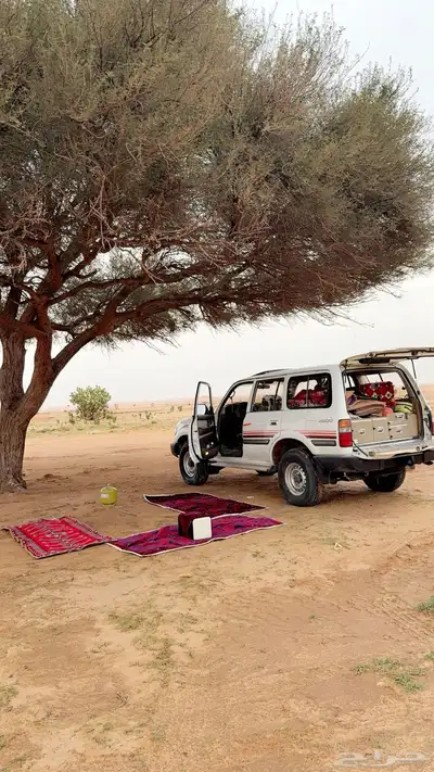 لاندكروزر 96 4