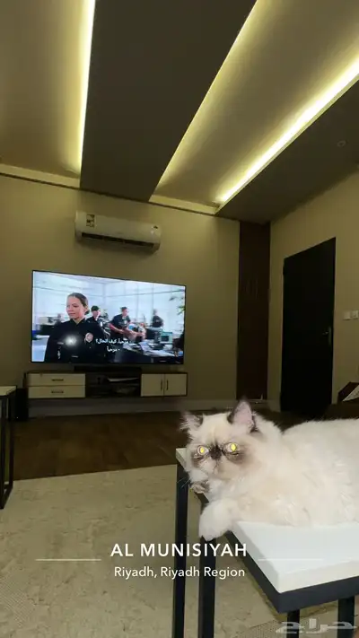 للبيع بكي فيس هملايا 1