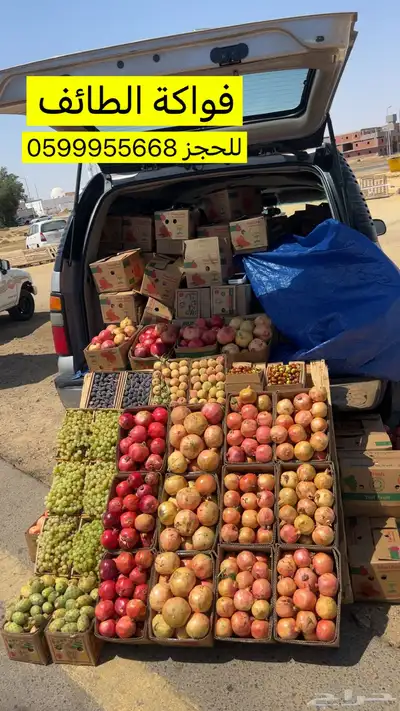 فواكة الطائف وبرشومي وتين وخوخ 1