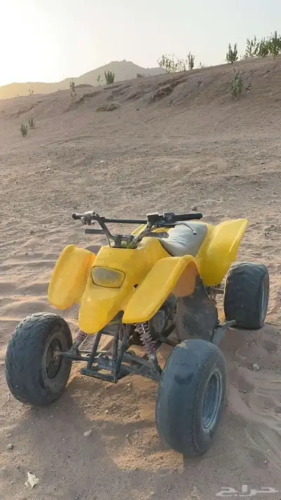 دباب سويدي نضيف 1