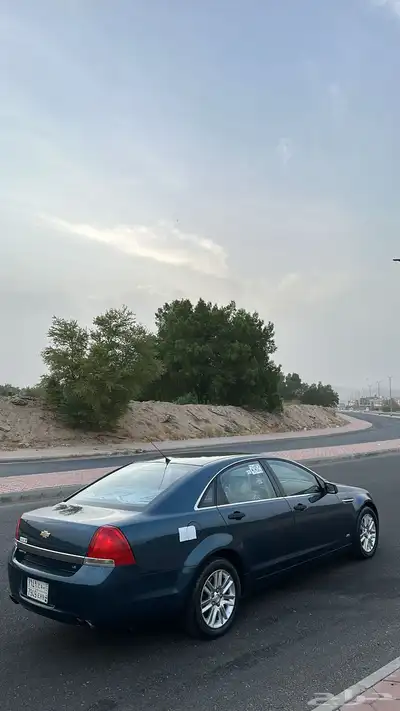 كابرس 2012 بودي بلد 24