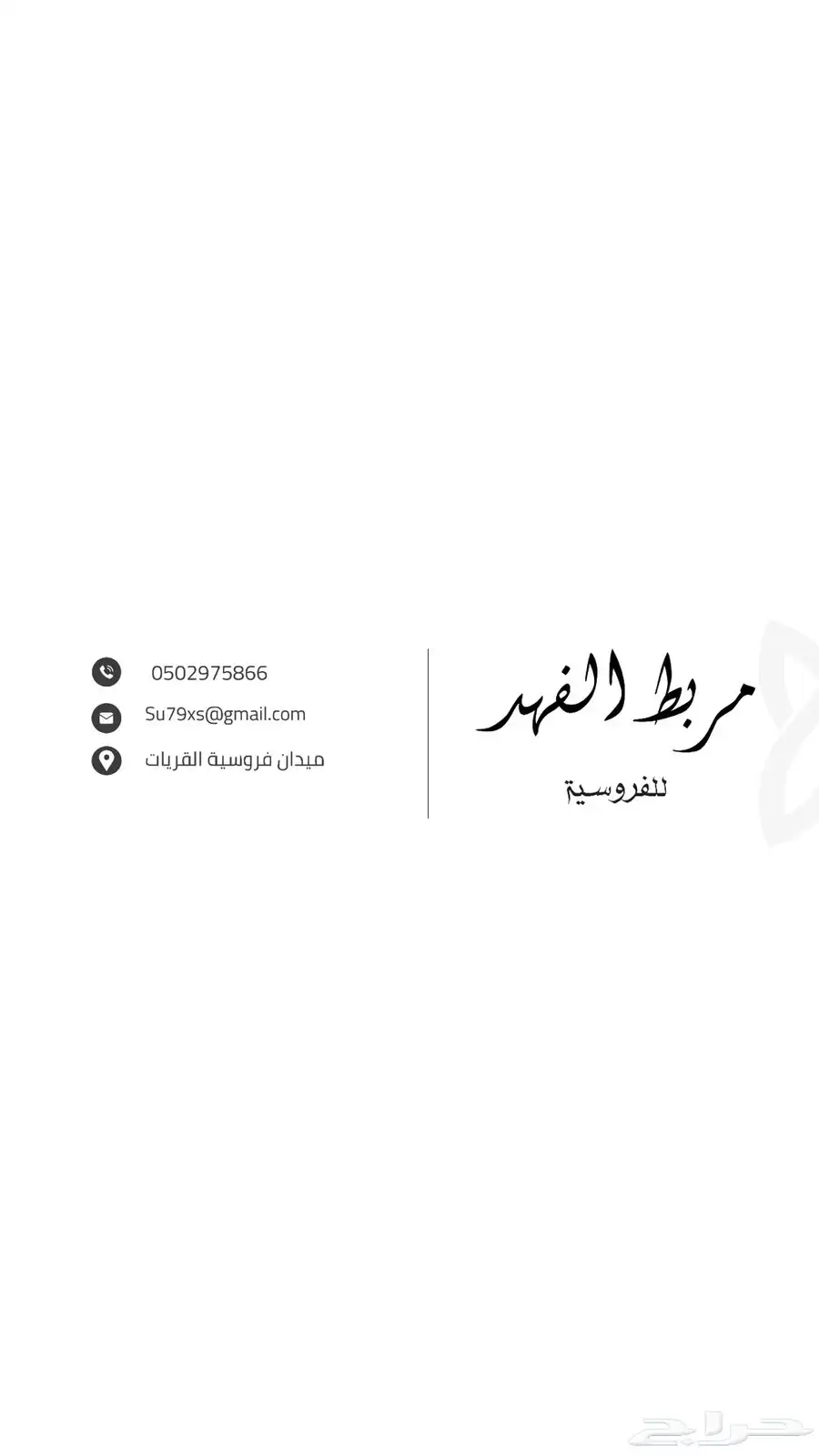 مربط الفهد للخيول القرسات index