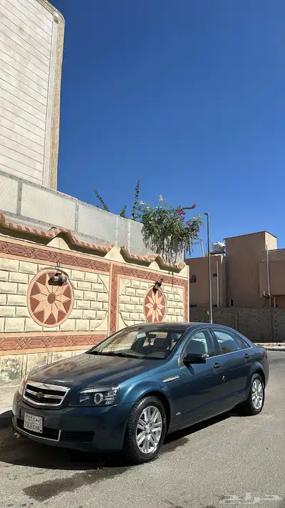 كابرس 2012 بودي بلد 15