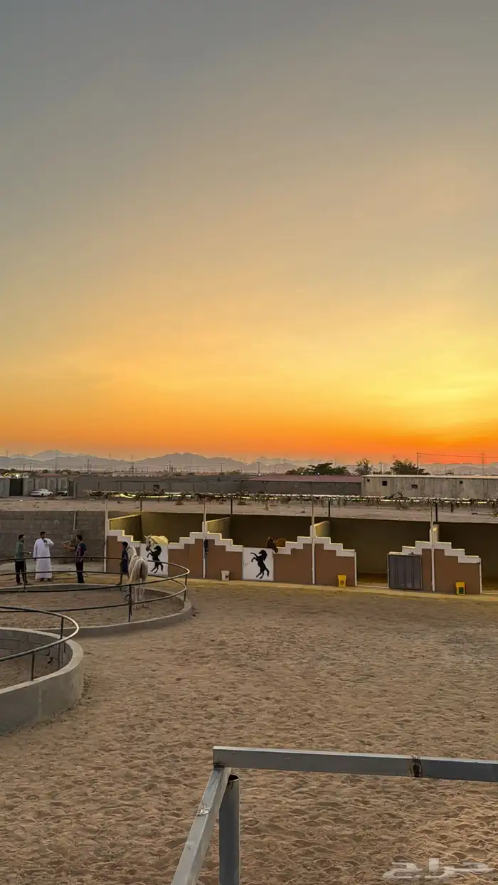 مربط سما 0