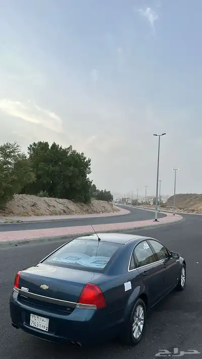 كابرس 2012 بودي بلد 22