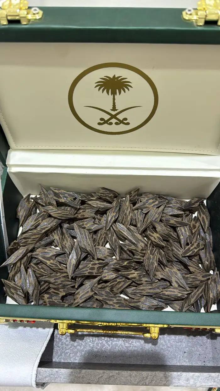 عودة تايقر وغيرها 3