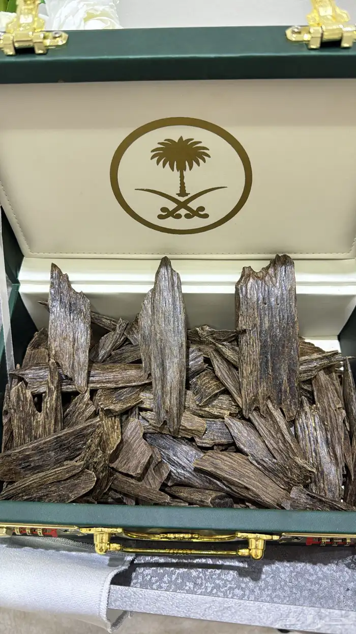عودة تايقر وغيرها 2
