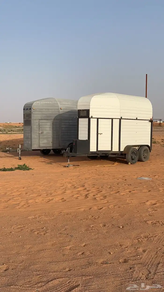 عربت خيل حايل وخارج حايل 0
