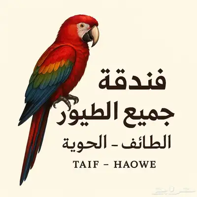 فندقة طيور بسعر رمزي جدآ 0