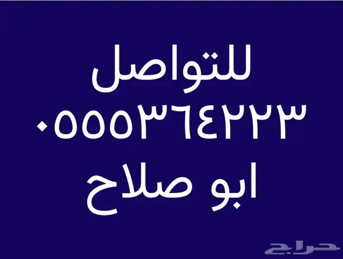 شفة عزاب بينبع 3غرف وصالة و2 حمام غير مفروشه 0