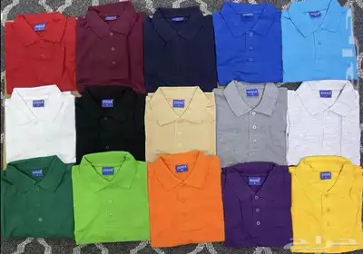 القصيم .. ابهاء .. الطايف .. خميس مشيط .. الباحة .. المدينة 13