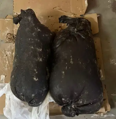 عكه للبيع 1
