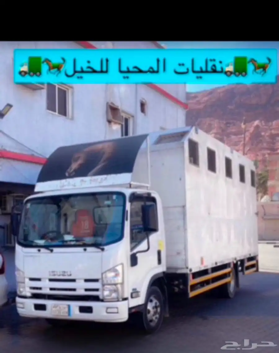نقل خيل 0