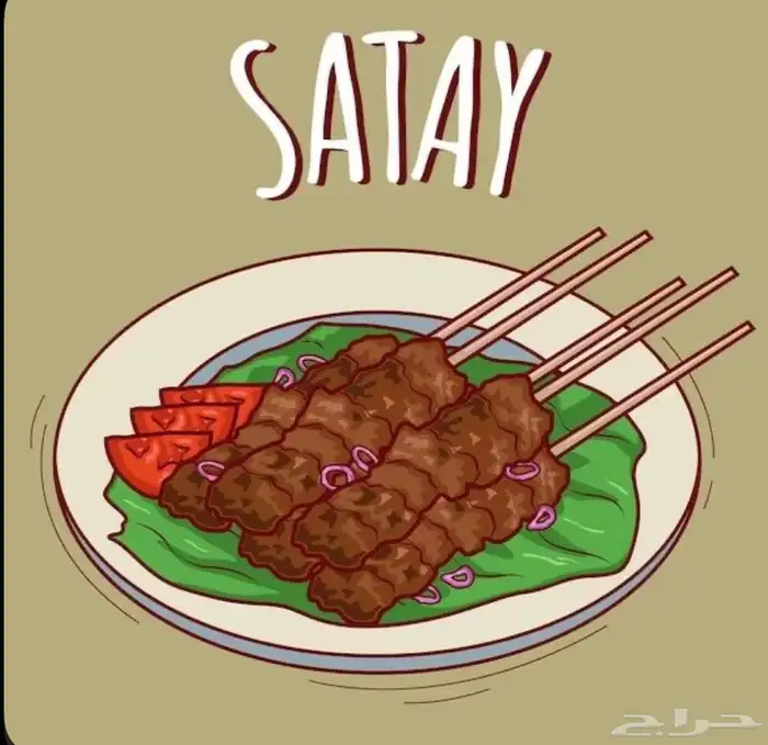 ساتي اندنوسي 0