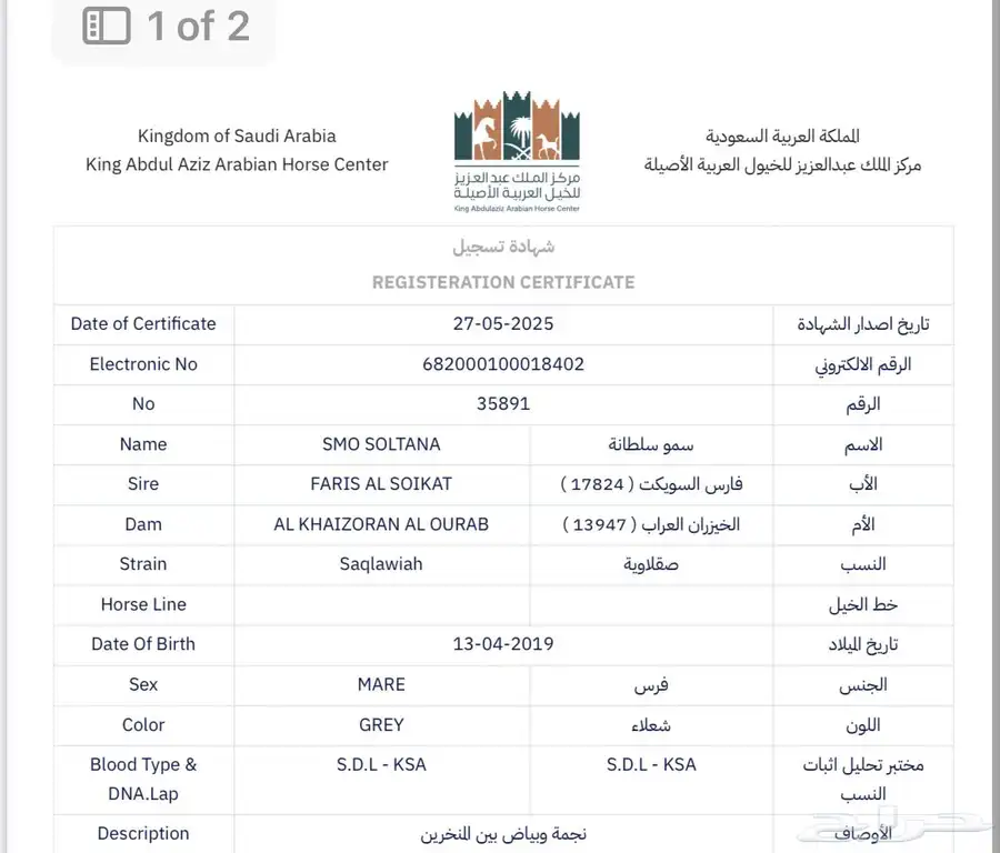 فرس واهو جميلة index