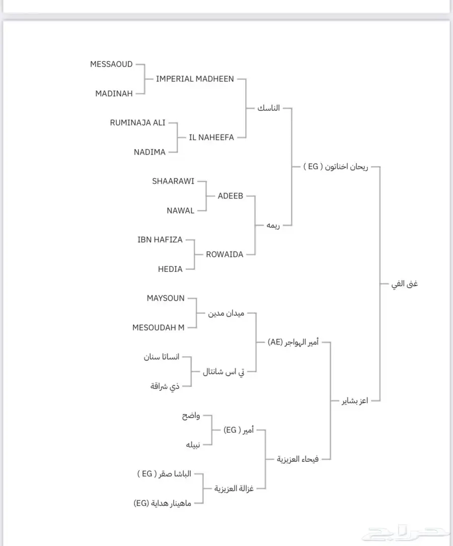 للبيع فرس مصرية بيور index