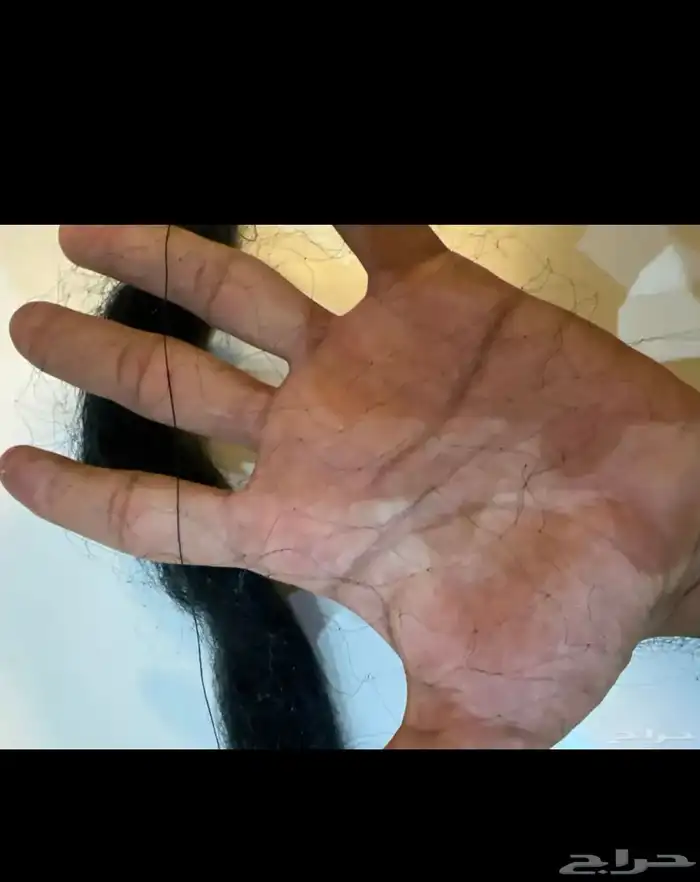 شبكه صيد دخل طيور 3