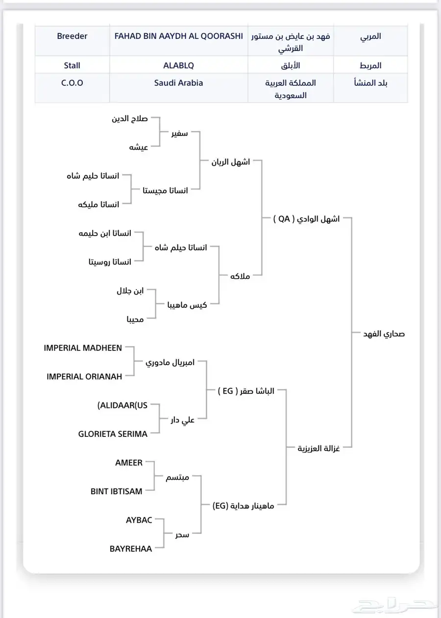 فرس واهو index
