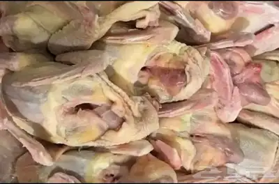حمام فرنسى جامبو 0