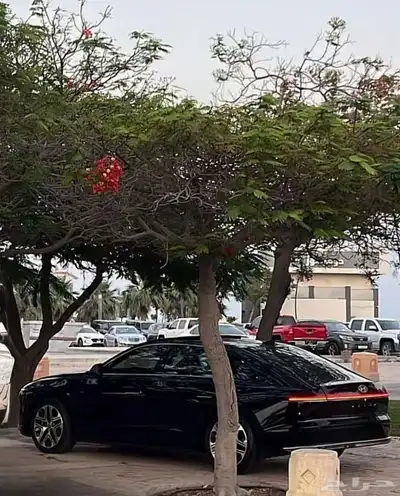 ازيرا 2024 اسود 2