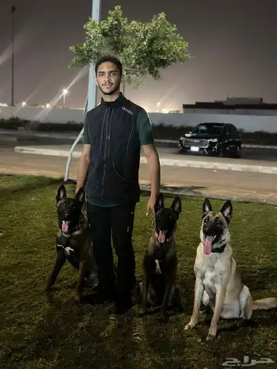 مدرب كلاب محترف 1