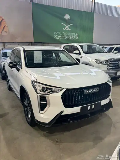 هافال جوليان استاندر 2025 6