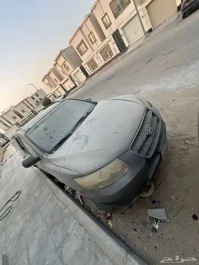 سنتافي 2009 0