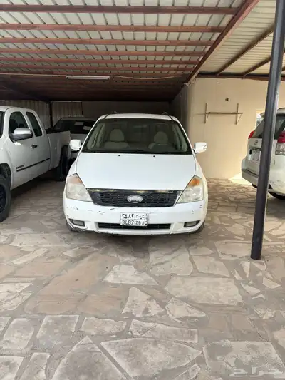 فان كيا كرنفال 2014 1