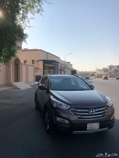 سنتافي 2014 9