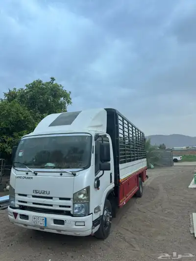 دانه للايجار 1