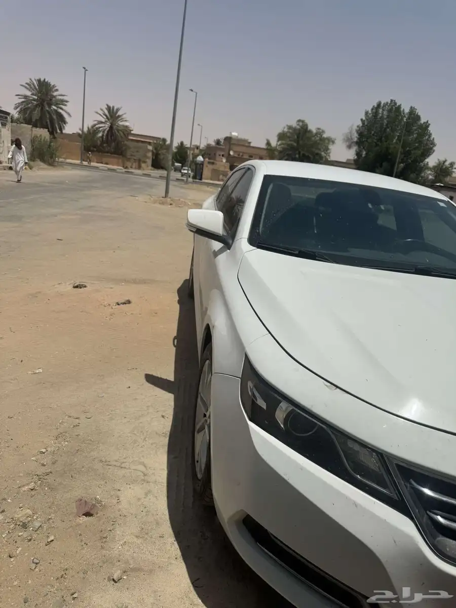 امبالا 2019 تشليح index