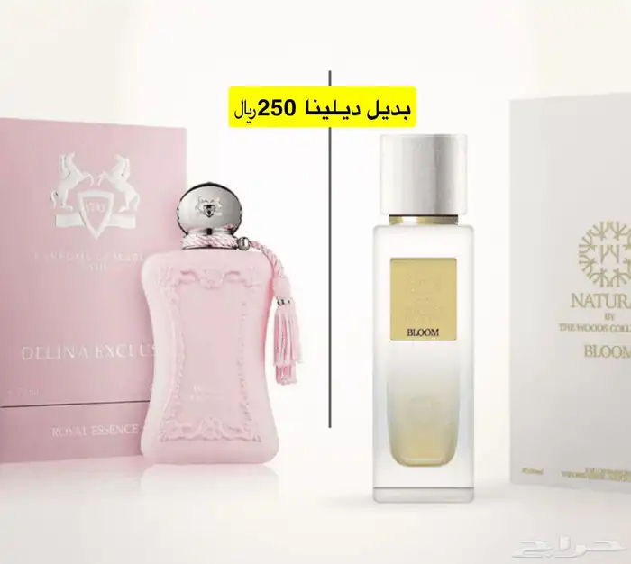 عطور المتزوجين 5