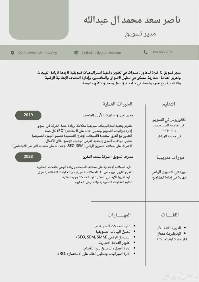 تصميم سيرة ذاتية احترافية فقط ب 23 ريال 2