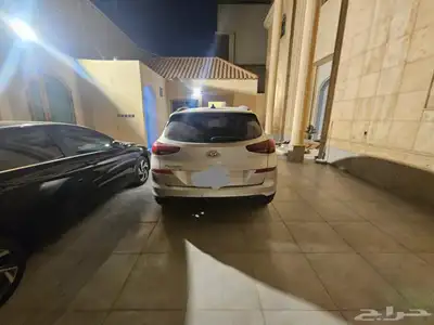 سنتافي 2019 1