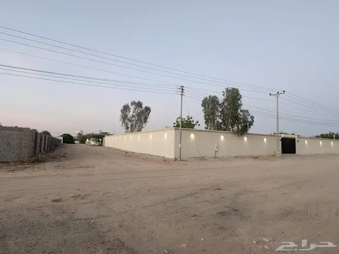 حوش للإيجار الشميسي الحديبيه 4