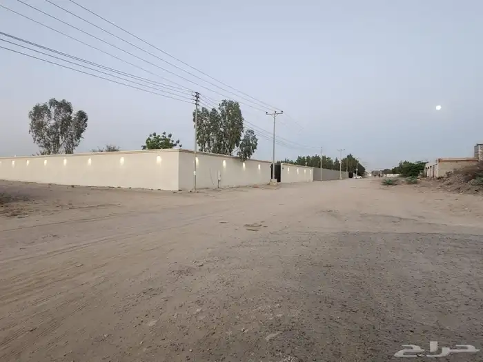 حوش للإيجار الشميسي الحديبيه 11