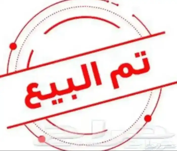 صوص بلدي وفرنسي للبيع 0