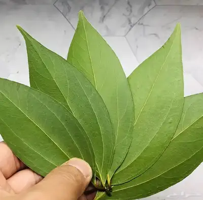 رسم صور فكرة جديدة للهدايا 3