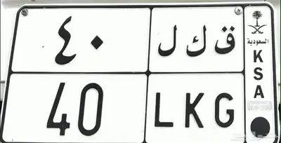 لوحة للبيع 0