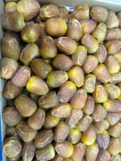 رطب جلكسي تمر سكري 0