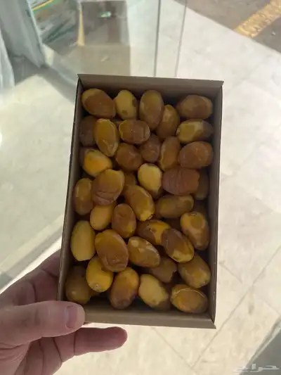 خلاص القصيم لقاط 4