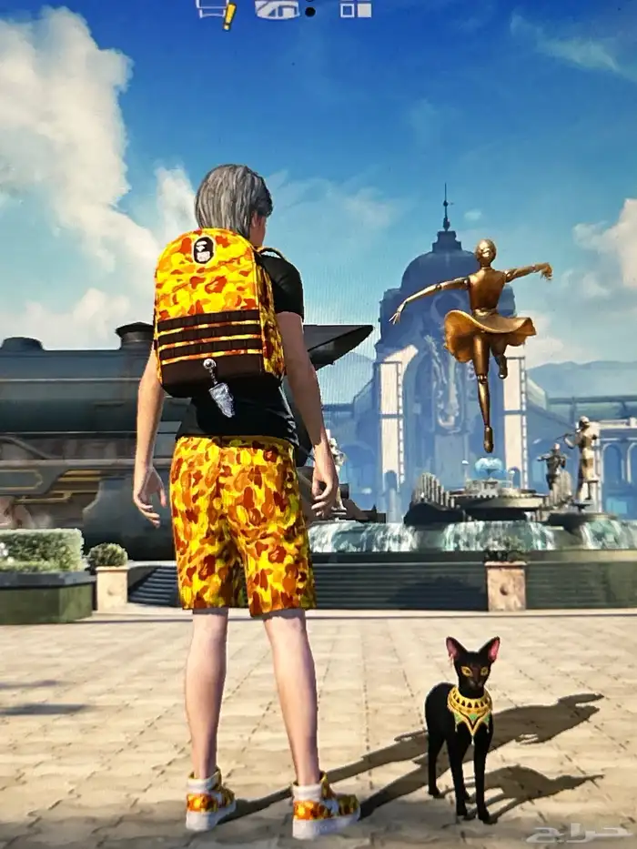 بيع حساب ببجي مع ملابس نادره واسلحه مطوره ب4000 9