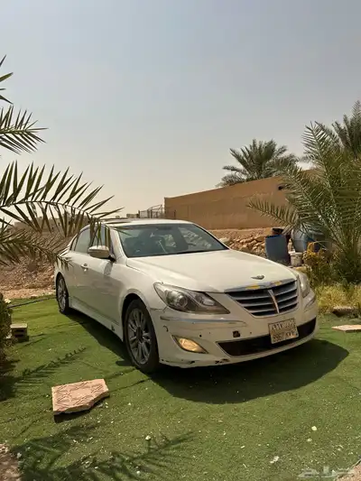 جنسس 15