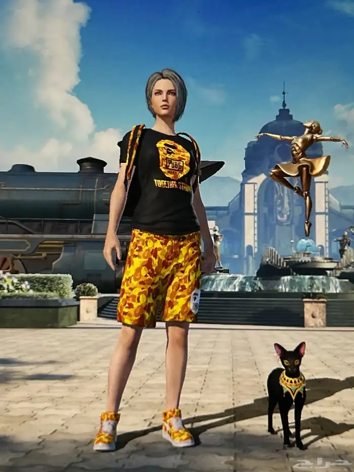 بيع حساب ببجي مع ملابس نادره واسلحه مطوره ب4000 4