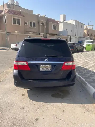 أودسي هوندا للبيع موديل 2005 1