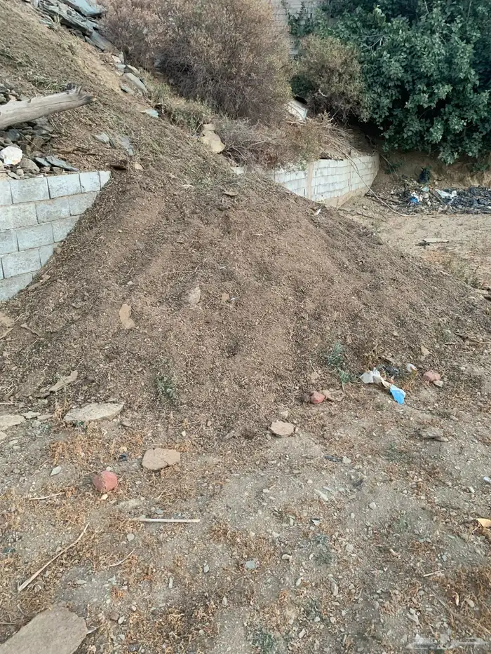 سماد غنم للبيع دمنه 0